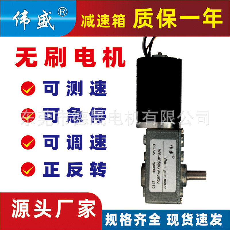 Weisheng 4058GW Turbo Snail Gear Motor 12V24V Snail Gear Motor 3650 DC Gear Motor