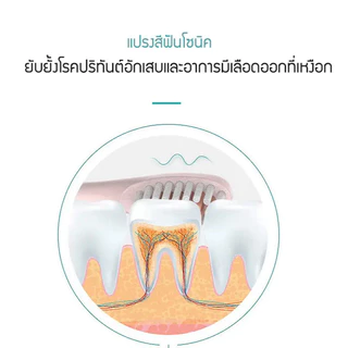 🚀ขจัดคราบพลัคขจัดกลิ่นปาก🚀 แปรงสีฟันไฟฟ้าโซนิค แปรงสีฟัน X.Q.M.Q สั่น 5 โหมด ชาร์จ USB แบตอึด ขนนุ่มไม่บาดเหงือก พร้อมส่งในไทย