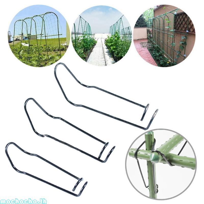 Mocho 50 ชิ้น Garden Vine คลิปสําหรับขนาดใหญ่ขนาด Farming รักษาสุขภาพ Growth สําหรับ 11 มม. 16 20 มม