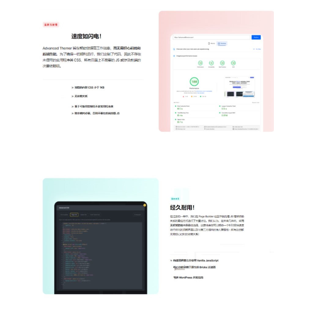 ขั้นสูง Themer สําหรับ Bricks 插件 Bricks Sellingo