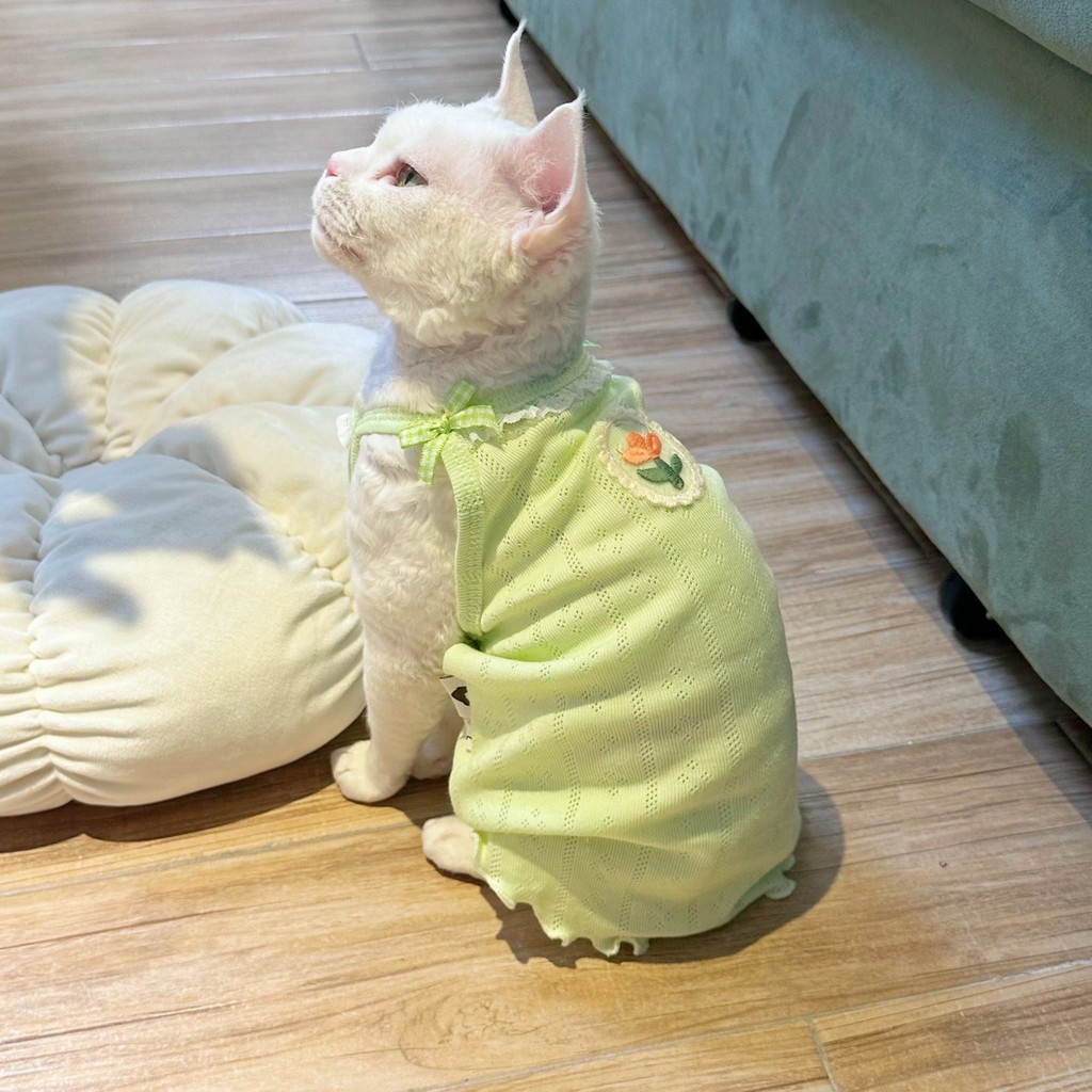Y · H Summer Fresh Mesh Breathable Summer Thin Sleeve Sphinx Hairless Cat Clothes German