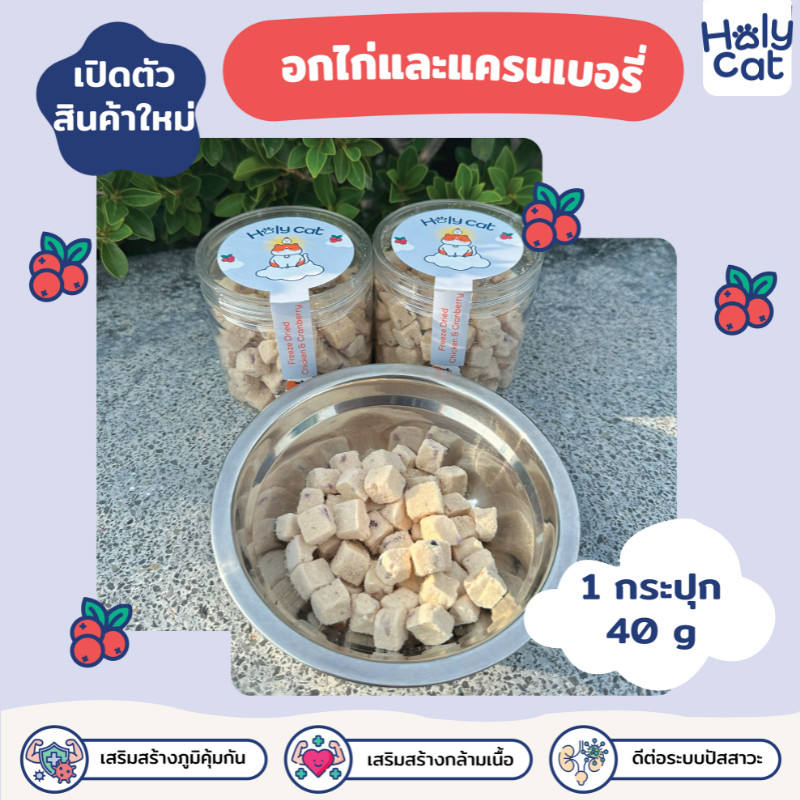 Holy cat ฟรีซดรายอกไก่ผสมแครนเบอรี่ ขนาด 40 g ขนมแมว อกไก่ฟรีซดราย เกรดพรีเมียม​ ขนมแมวเพื่อสุขภาพ