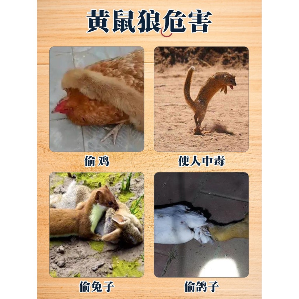 Solar Repellent Weasel Wolf Handy Tool อุปกรณ์อ้างอิงกลางแจ้งอิเล็กทรอนิกส์ Ultrasonic Anti-Repellen