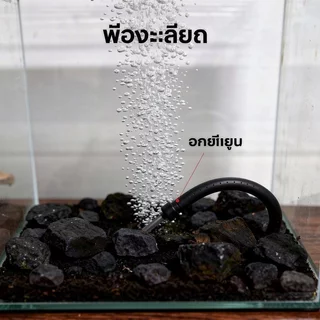 Air Stone Bubble Bar มีรูพรุน Fine Bubbles บ่อปลา Aeration ท่อยืดหยุ่น Aquarium ท่อออกซิเจน