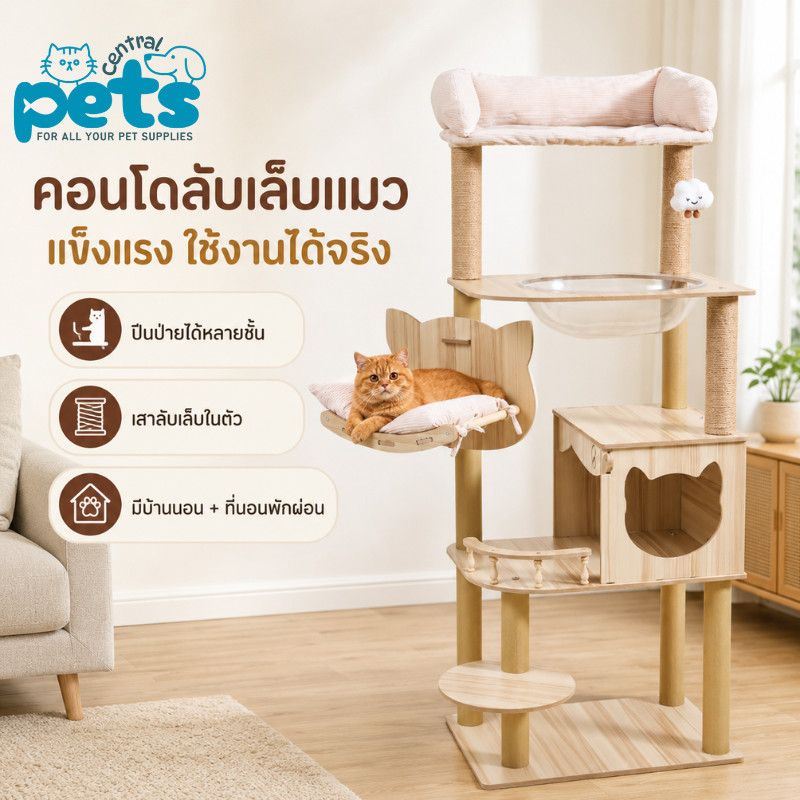 【โปรวันนี้】คอนโดแมวไม้ สูง150cm หลุมอวกาศใส บ้านแมว เปลนอน เสาลับเล็บเชือกป่าน ของเล่นแมว Cat Tree