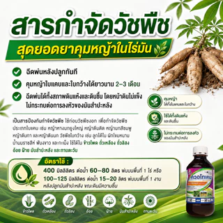 ยา ฆ่าหญ้ามันสำปะหลัง (ฉีดทับมันได้) คุมหญ้าในมัน ฆ่าไร่มัน คุมหญ้ามัน ฆ่าหญ้าในไร่มัน 1 ลิตร