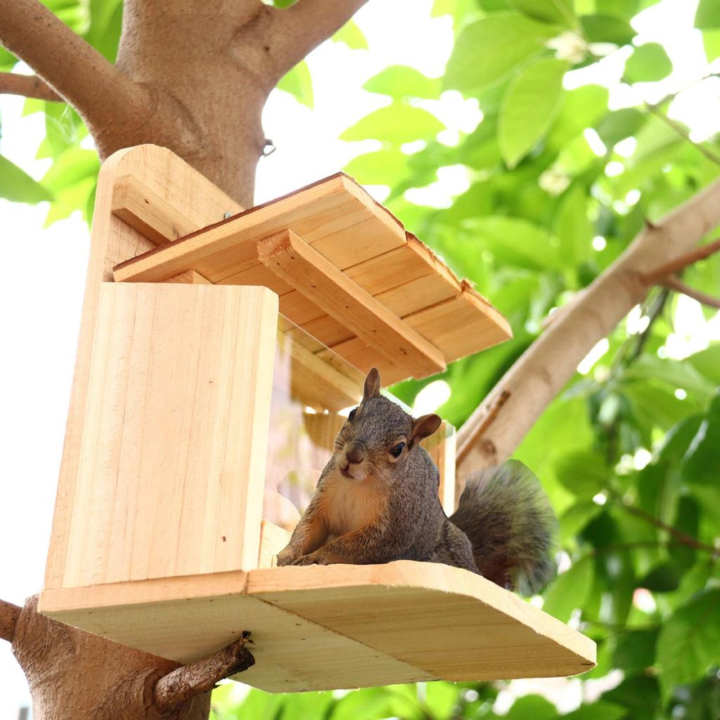 [mibum01eb] Handcraft Squirrel Feeders สําหรับนอกเครื่องประดับตกแต่งบ้านสาขาคงที่ที่ถอดออกได้ส่วนกระ