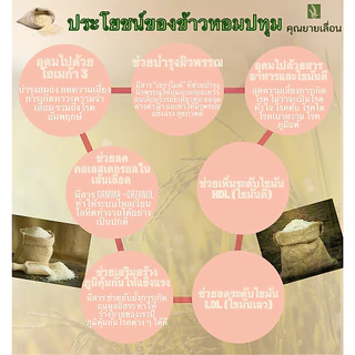🌾ข้าวหอมปทุม ขนาด 250 กรัม🌾ข้าวออแกนิก 🔥สีข้าวใหม่ทุกวันตามคำสั่งซื้อ 👨‍🌾 จากเกษตรกร จ. พัทลุง