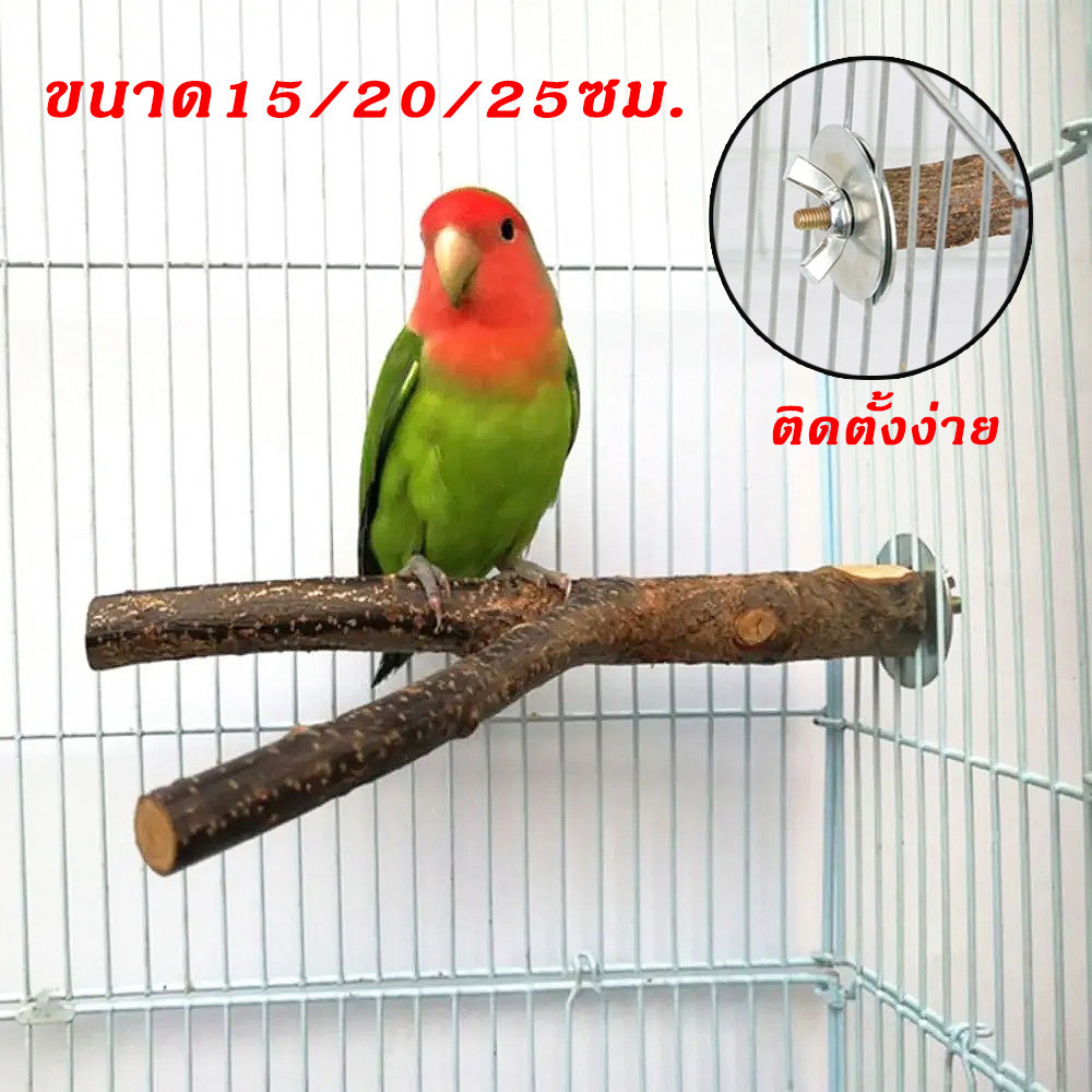 คอนไม้ยึดกรงแบบตัวY ไม้ธรรมชาติ สำหรับนกแก้ว 15/20/25ซม. ช่วยลับเล็บ ให้นกกัดแทะได้ ปลอดภัย อุปกรณ์กรงนก พร้อมส่งในไทย