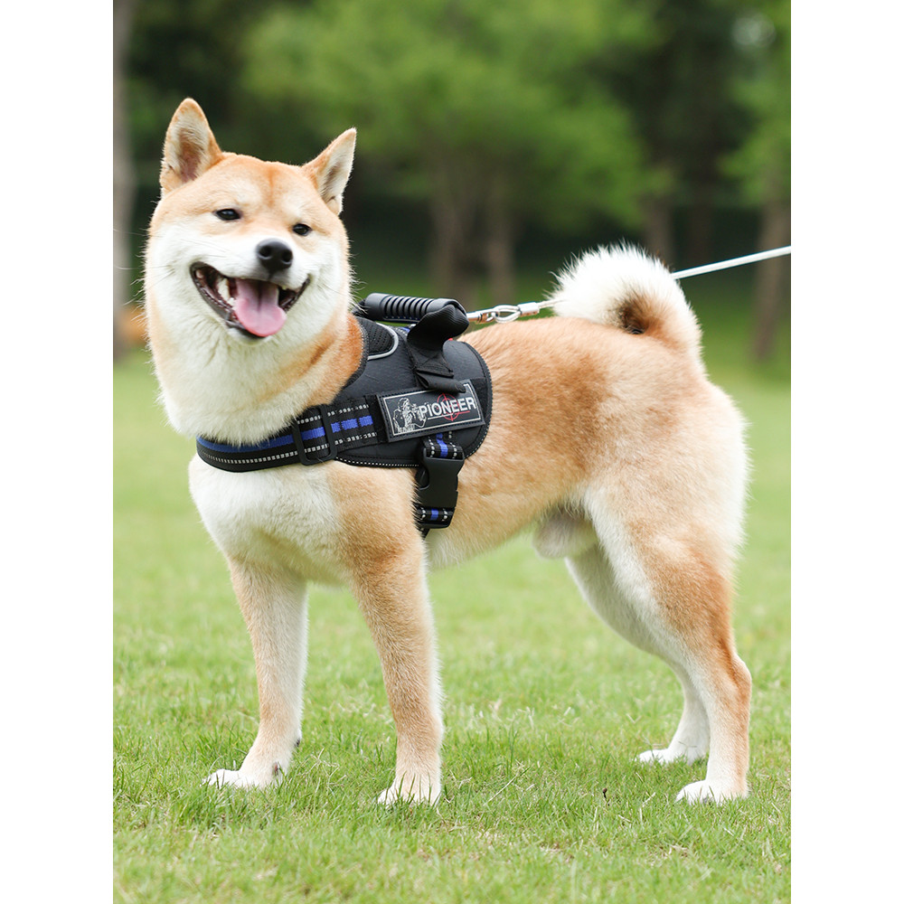 สายจูงสุนัขป้องกันการระเบิด Punch สายรัดหน้าอก K9 เสื้อกั๊กสไตล์ขนาดกลางขนาดใหญ่สุนัข Shiba Inu Gold