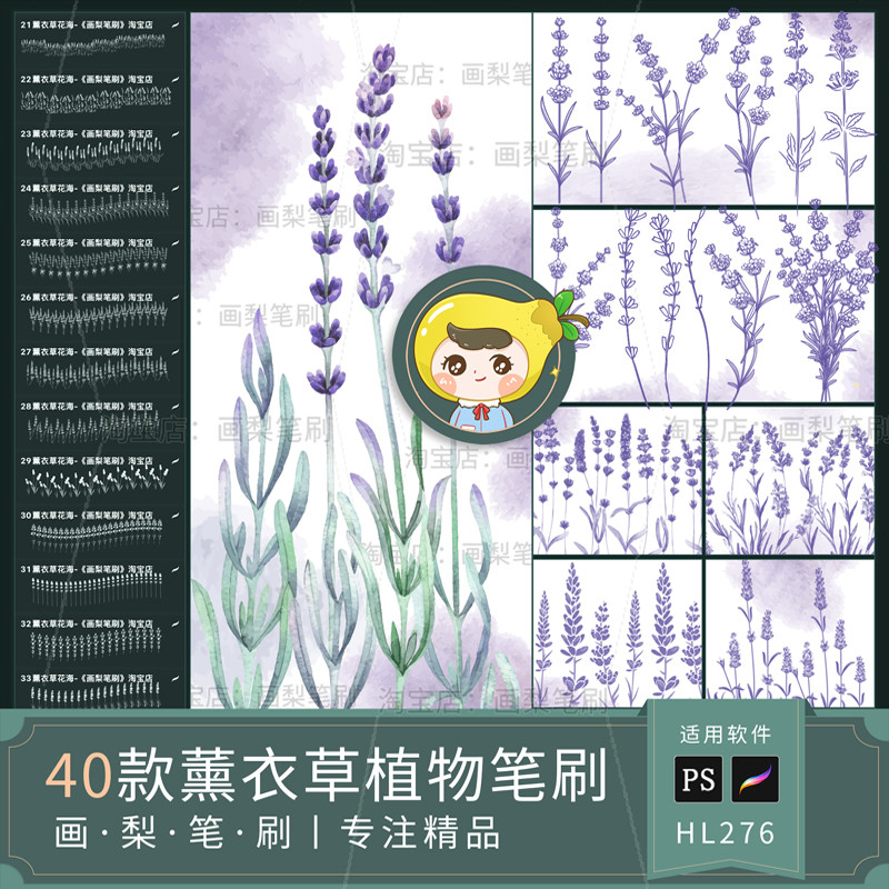 Procreate Brush ps Brush Lavender Plant Flower Flower Flower Sea Line Drawing Illustration Material 