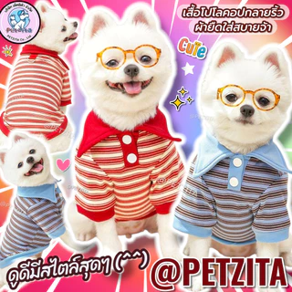 🇹🇭พร้อมส่ง🇹🇭 ❤️🔵 เสื้อโปโลมีแขนคอปกดีเทลกระดุมขาว ลายริ้วผ้ายืดใส่สบาย for pet เสื้อสุนัข ชุดหมา ชุดแมว