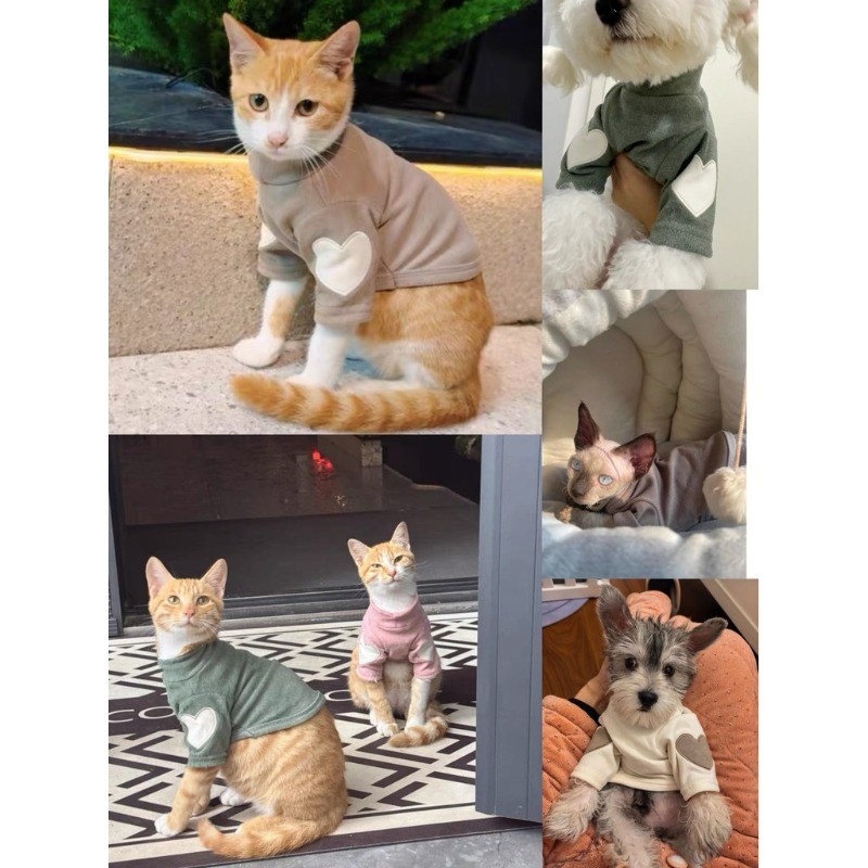 รูปภาพ 2