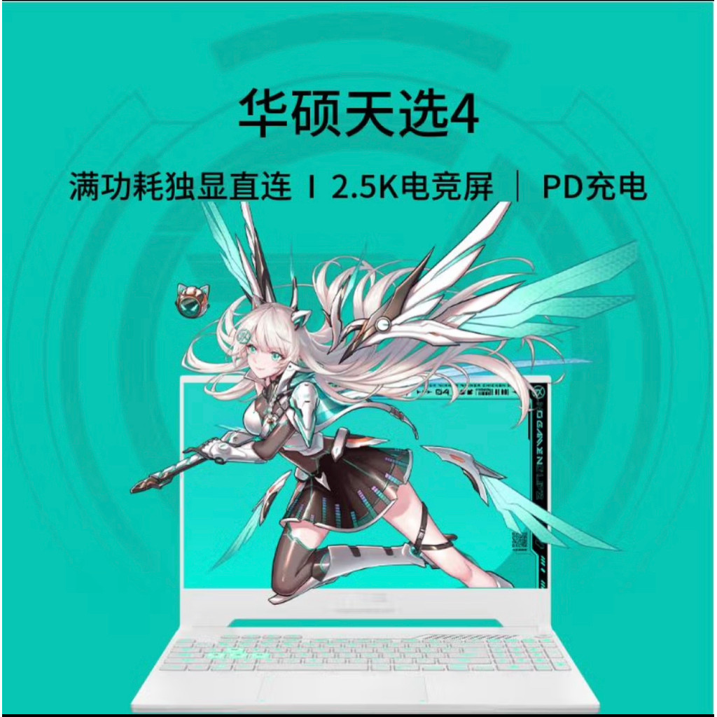 Asus/Asus Asus Choice 4 Notebook Corey I9 13900H 16G 512G RTX4060 อิสระ