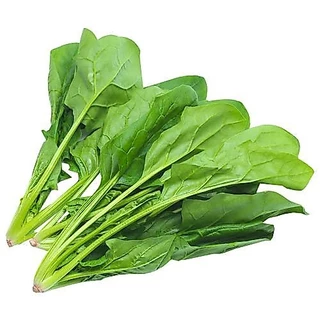 เมล็ดพันธุ์ ปวยเล้ง ปวยเล้งญี่ปุ่น 30 เมล็ด [10 เเถม 1 คละได้ ]