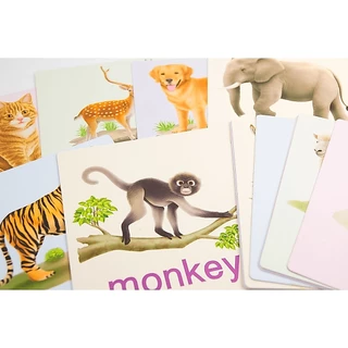 MISBOOK การ์ดหนูชอบสัตว์น่ารัก | แฟลชการ์ด flash card การ์ดคำศัพท์ การ์ดช่วยจำ การ์ดสัตว์ ของเล่นเสริมพัฒนาการ