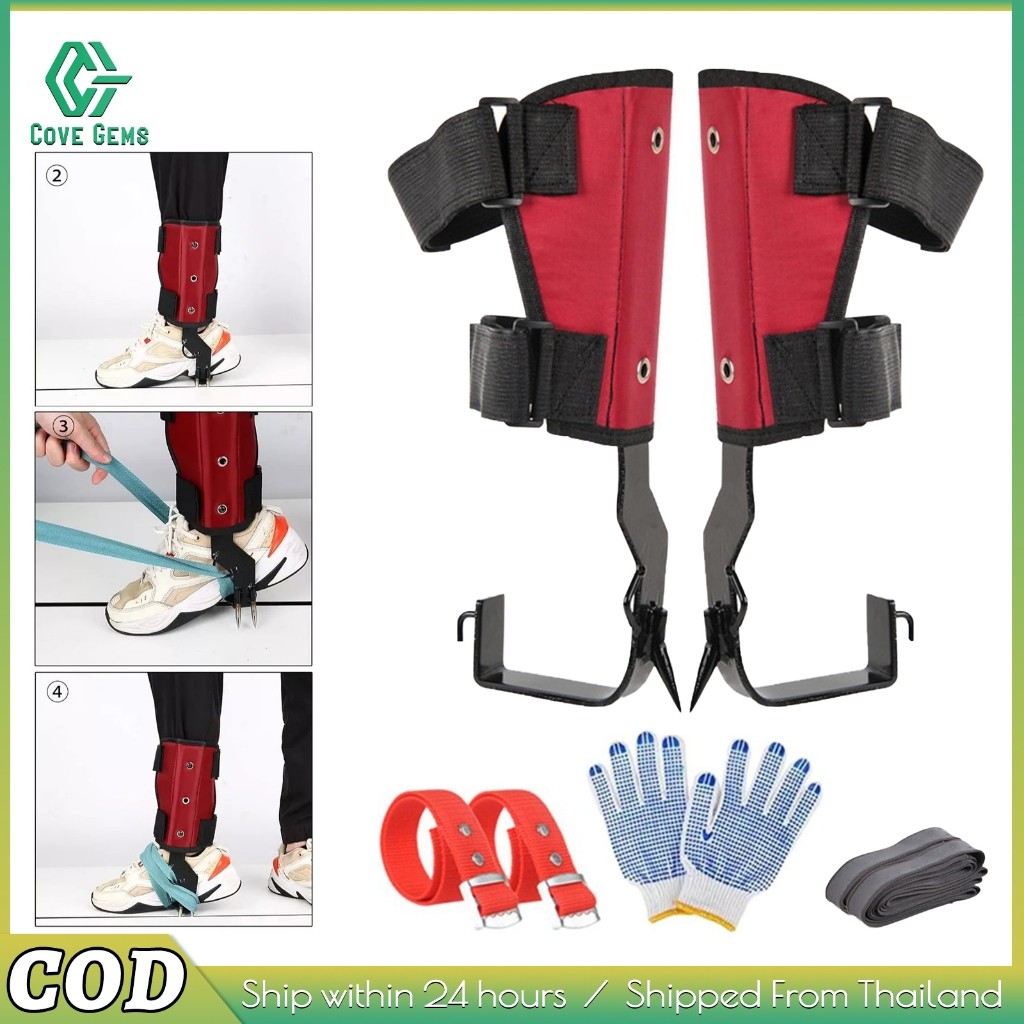 เข็มปีนต้นไม้ ปรับสายได้ แข็งแรง ใช้สำหรับเก็บผลไม้ มะพร้าว ปีนสะดวก Climbing Spikes Adjustable
