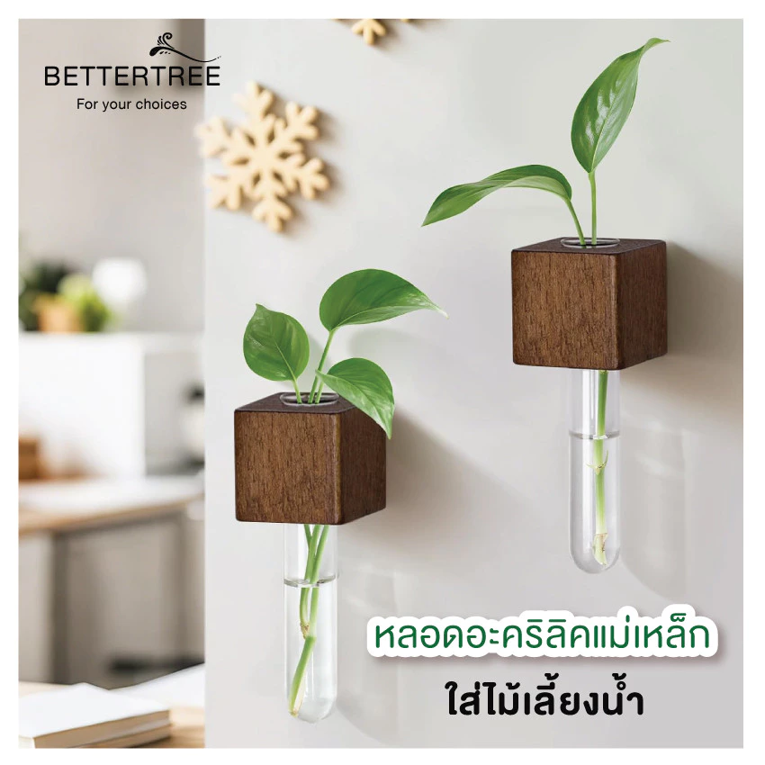 หลอดอะคิลิคแม่เหล็ก แจกัน ของตกแต่งบ้าน