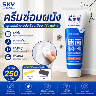 SKY ครีมซ่อมผนัง อุดรอยร้าว โป๊วผนัง ซ่อมรูตะปู ซ่อมปูนแตก แห้งไว 250 กรัม Wall Repair Paste