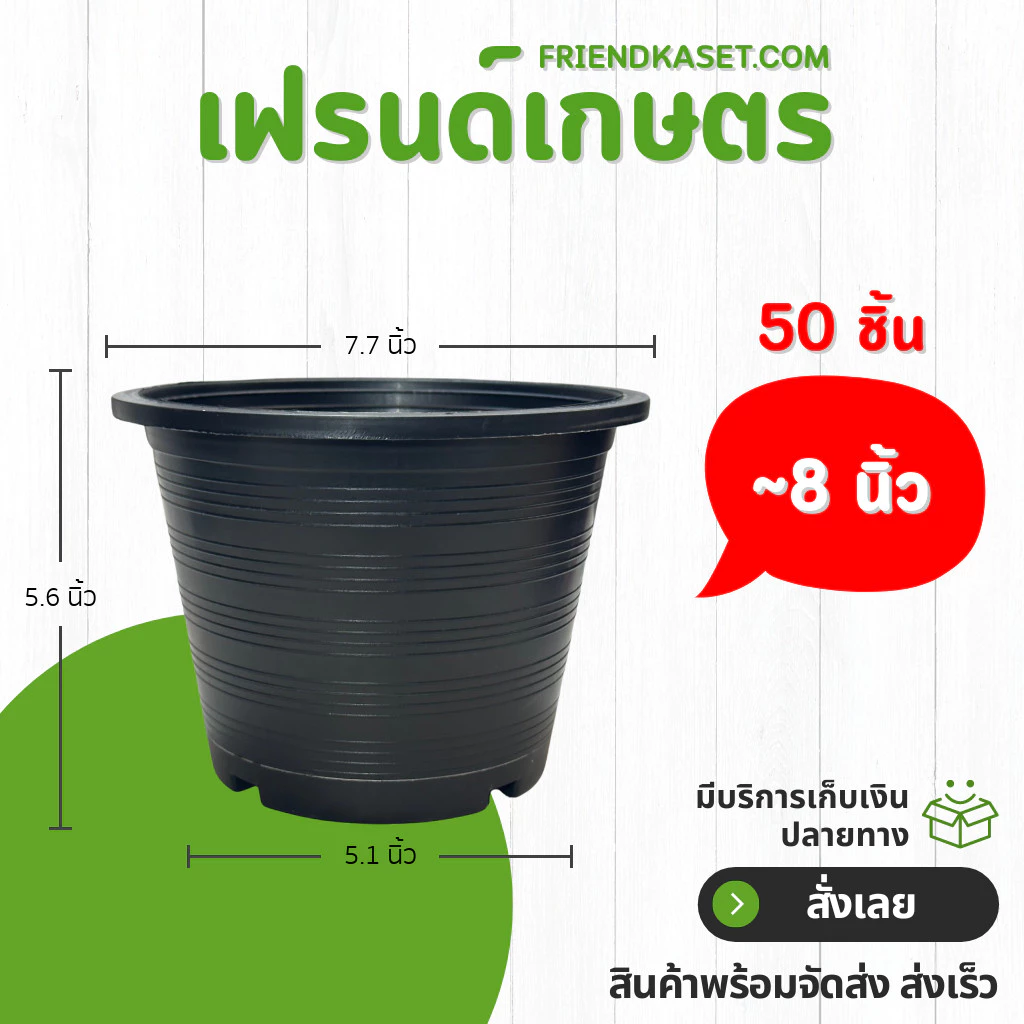 กระถาง กระถางต้นไม้ กระถางพลาสติก เบอร์ 8 7 นิ้ว สีดำ ยกมัด 50 ใบ
