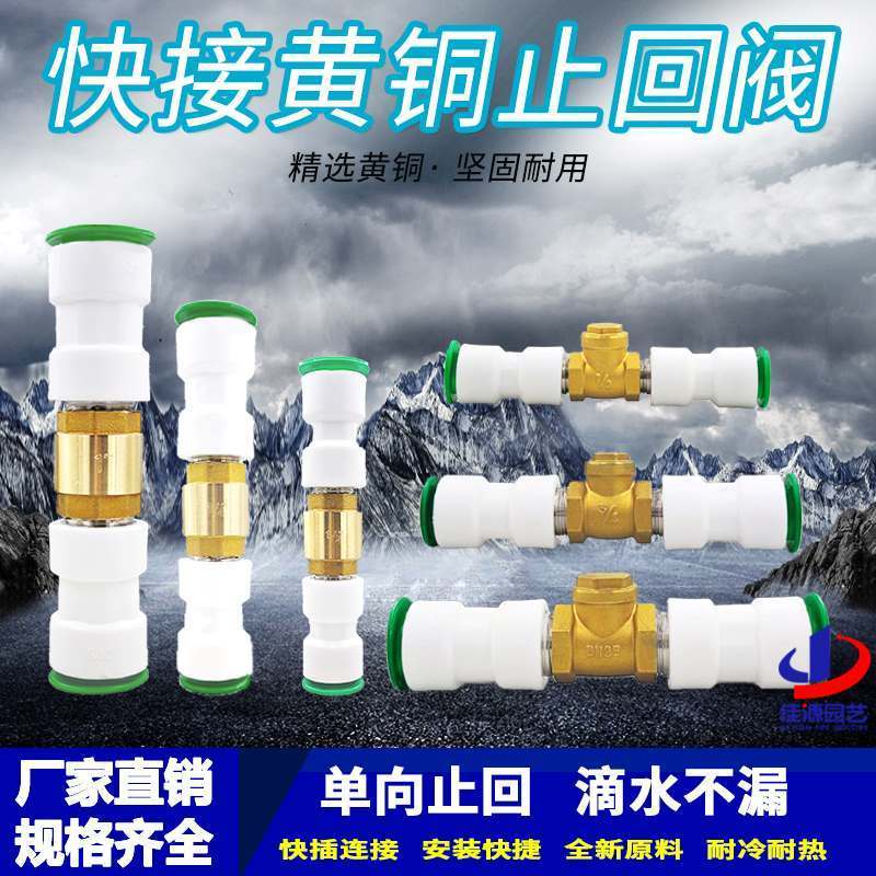 Ppr Quick Connect Check Valve PE Check Valve 20 Quick Plug 25 Quick Connector ไม่มี Hot Melt Check ก