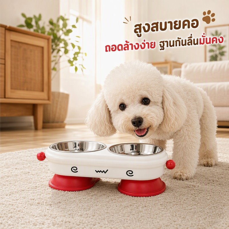ชามอาหารแมว ยกสูง กันคว่ำ ปากเอียง ลดกดคอ ถอดล้างง่าย ชามสแตนเลส 304 ฐานกันลื่น