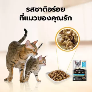 Purina PRO PLAN Cat อาหารแมวเปียก สำหรับแมวโต สูตรยูรินารี่ แคร์ 85 g x12 ซอง สูตร Complete & Balance เลขทะเบียน07