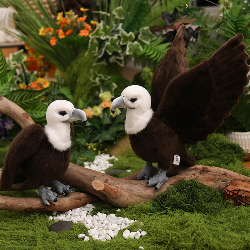 Eagle Vulture Vulture จําลองนกสัตว์เครื่องประดับเด็กความรู้ความเข้าใจตุ๊กตาตุ๊กตาของขวัญของเล่นตุ๊กต