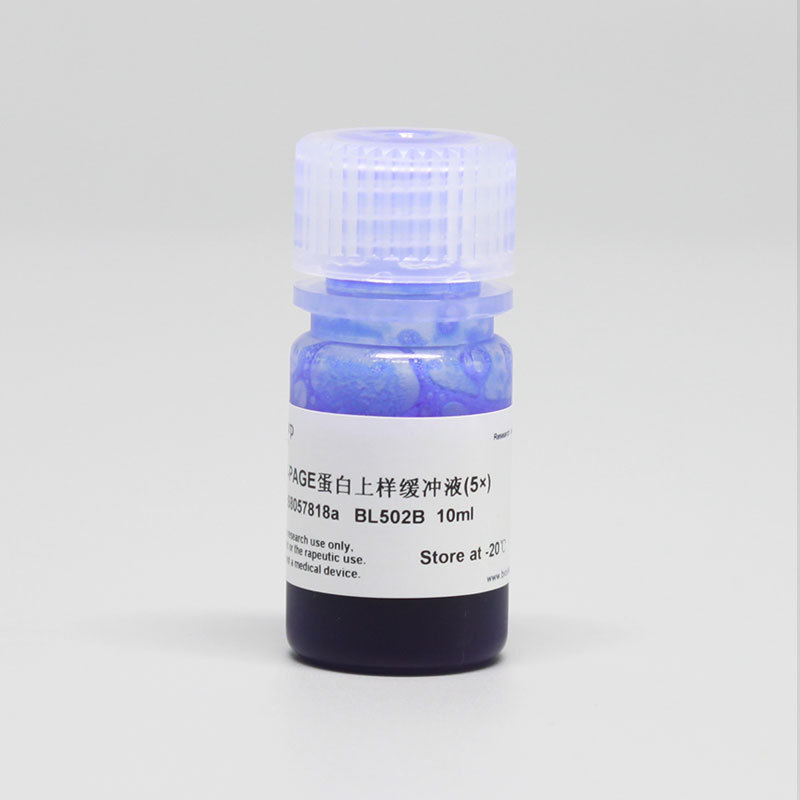 Biosharp BL502B SDS-PAGE Protein Sampling Cushioning Liquid (5X) 10ml/ขวด