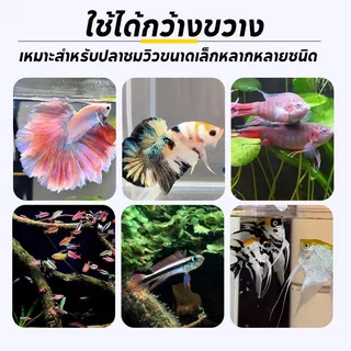 อาหารปลากัดเม็ดลอยน้ําโปรตีนสูงสีเพิ่มครีบหางขนาดสนับสนุนโปรไบโอติก50ก