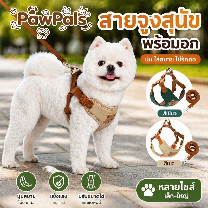 สายจูงสุนัข เสื้อรัดอกสุนัข พร้อมสายจูง ชุดสายจูงสัตว์เลี้ยง สำหรับแมว ปรับได้ หลายสี