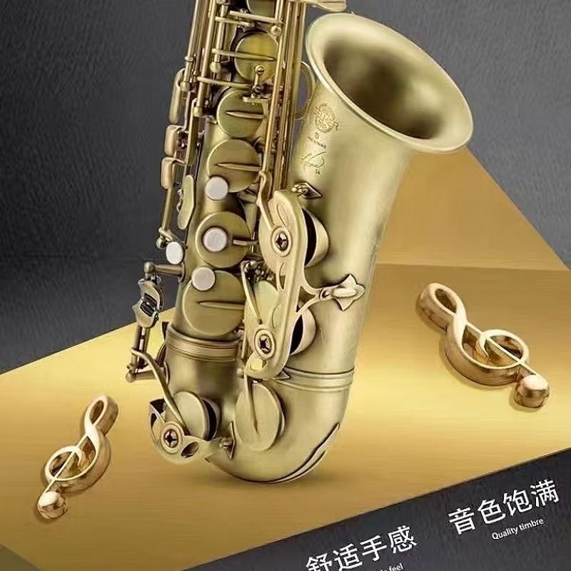 ฝรั่งเศส Selma 54 Alto แซ็กโซโฟนท่อ E-Tunning โบราณ Frosted Professional Performance Instrument