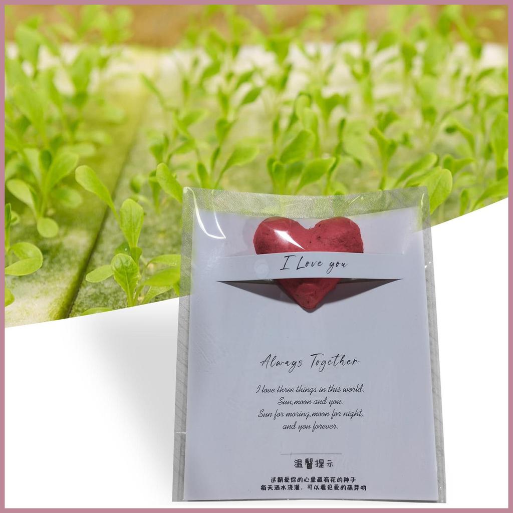 Heart Plantable Paper Set Handmade Paper Plantable Plantable Paper Large Hearts Recycled Flower Peta