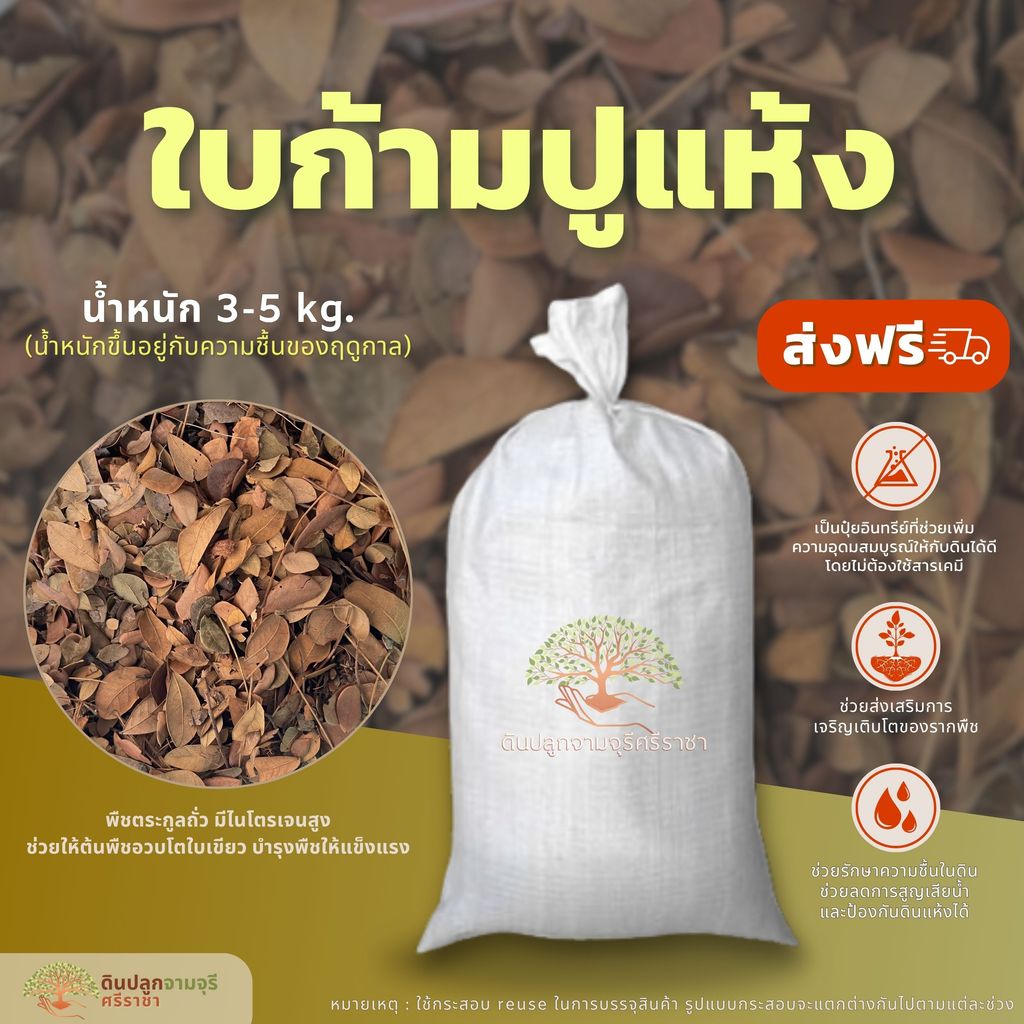 (ส่งฟรี)ใบก้ามปู​แห้ง 1​ กระสอบ​(3-5kg.) ใบจามจุรี ใบก้ามปูล้วน ใช้เวลาจัดส่ง 5-7 วัน