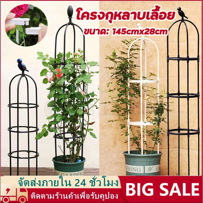 145cm*28cm ซุ้มกุหลาบ ซุ้มกุหลาบเลื้อย โครงกุหลาบเลื้อย ซุ้มไม้เลื้อย ท่อเหล็กเคลือบ เหล็กแข็งแรง กันสนิม กระถางต้นไม