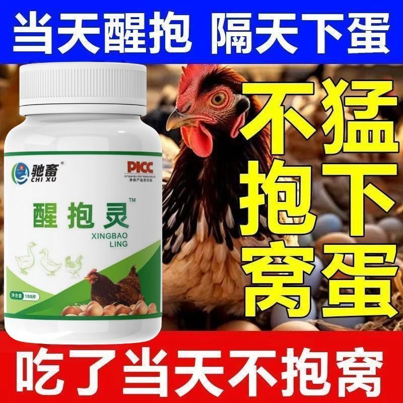 Wake Up Chicken Hug Nest Quick Wake Up ไก่เป็ดห่าน Hug Nest ไม่ดึง Nest อย่าปล่อยฟัก Chicks Wake Up 