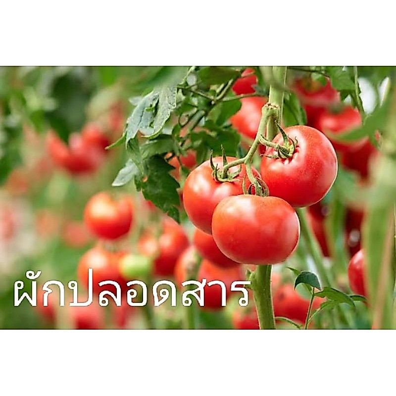 น้ำส้มควันไม้ตรามิตรเกษตร สูตรพิเศษไม่มีน้ำมันดิน รูปที่ 8