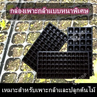 ถาดเพาะกล้า PET หนา 1.0 มม. 32/50/72/105/128/200 หลุม ใช้ซ้ำได้ ระบายอากาศดี ไม่เสียรูป เพาะเมล็ด เพาะต้นอ่อน ไฮโดรโปนิก