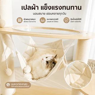 ไม้แมวคอนโดแมว ตัวคอนโดแมวใหญ่ กรอบปีนแมว โครงปีนแมว คอนโดแมว cat tree tower พร้อมโดมนอนแบบใส บ้านแมว ทนต่อการขีดข่วน
