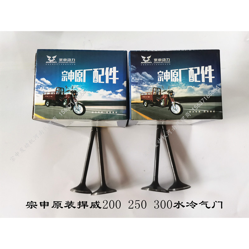 รถจักรยานยนต์สามล้อ Zongshen Jiangsu Zongshen Original Defend Weifeng 200 250 300 วาล์วเครื่องยนต์ระ