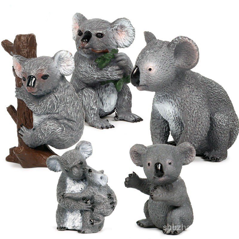 Solid จําลอง Koala Wild Static สัตว์รุ่น Wombat