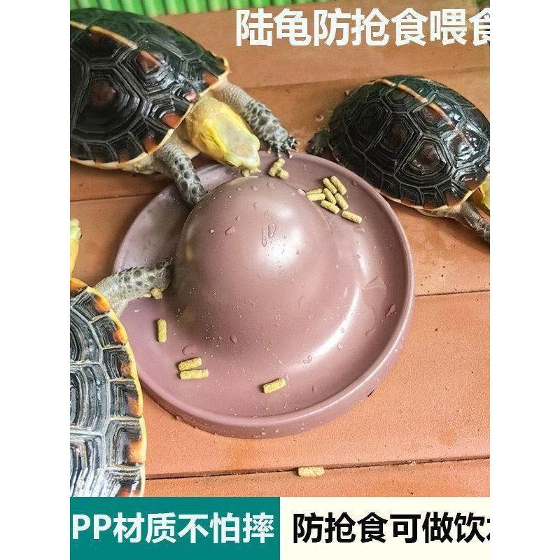 เต่าปีนเขาสัตว์เลี้ยง Anti-Stepping Feeder Lizard Gecko Anti-Fouling ชามอาหาร Easy-to-Clean ชามน้ํา 