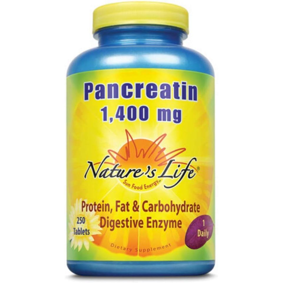 Nature's Life Pancreatin 4X Strength | 250 ct