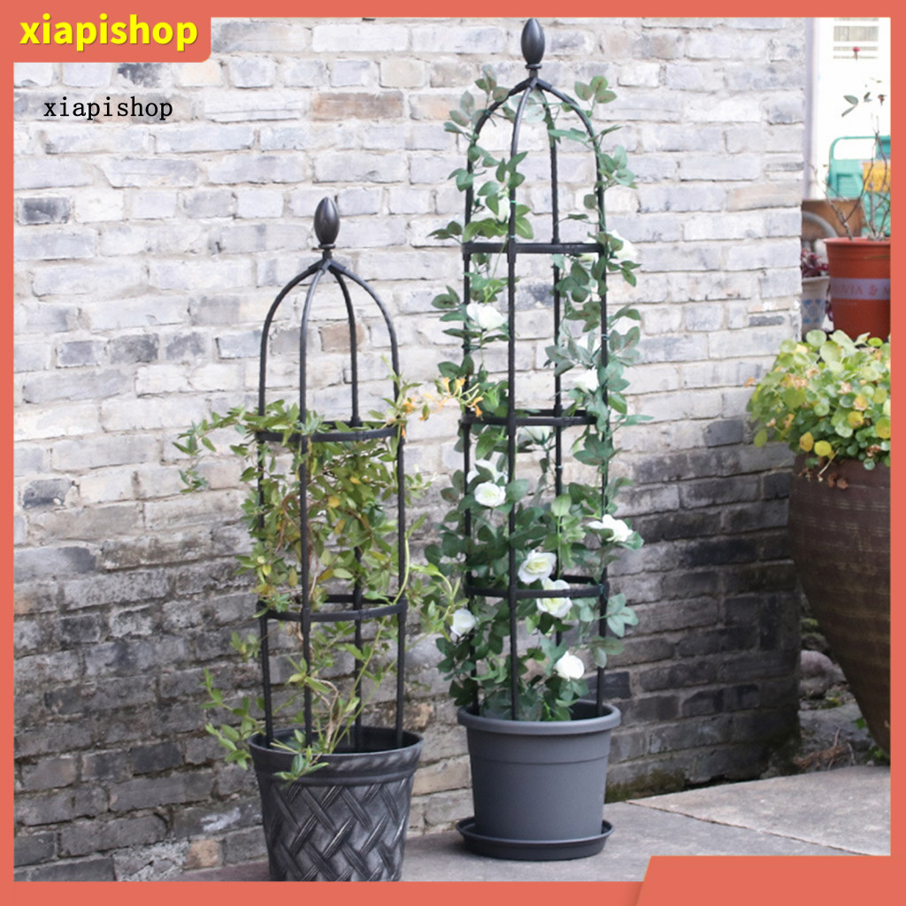 XPS พืช Trellis สําหรับ Vine สนับสนุนดอก Vine Trellis โลหะสวน Obelisk Trellis สําหรับพืชปีนเขาประกอบ
