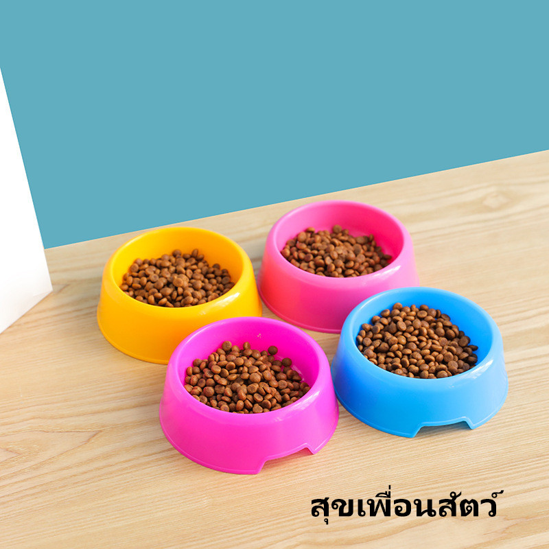 ชามอาหารสัตว์เลี้ยงสองช่อง 🍭 สีพาสเทลสุดน่ารัก สำหรับแมวและสุนัข  ชามพลาสติกใส่อาหารและน้ำ ใช้งานสะดวก ทำความสะอาดง่าย