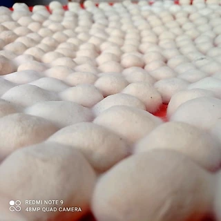 ลูกแป้งสาโท เชื้อสาโท ราคาส่ง 6 ลูก 30 บาท
