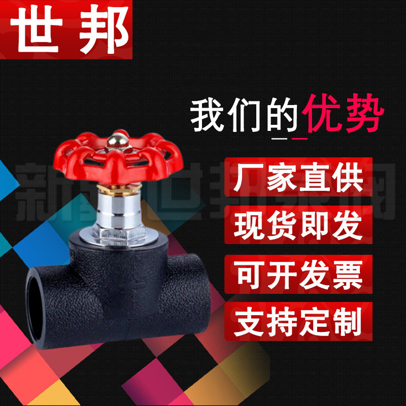 PE Lift Check Valve 16KG Xinjiang PE Water Supply Pipe Valve Switch วาล์วตรวจสอบ HDPE วาล์วตรวจสอบ X