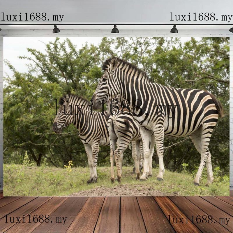 Custom Zebra ครอบครัวสีเขียว Bush ทุ่งหญ้า Wildlife ธรรมชาติฉากหลังผนังภาพจิตรกรรมฝาผนัง Self กาววอล