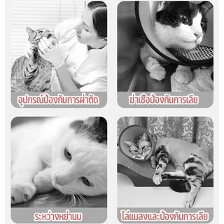 😺COD😺ชุดทำหมัน ชุดผ่าตัดสำหรับแมว เสื้อผ้าป้องกันการเลีย อุปกรณ์หลังการผ่าตัดสำหรับสัตว์เลี้ยง