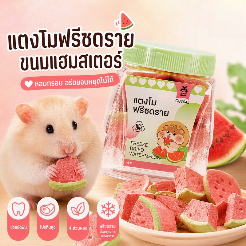 ของขบเคี้ยวหนูแฮมสเตอร์ แช่แข็งแห้ง โปรตีนคุณภาพสูง เติมเนื้อขบเคี้ยวฟัน รูปรูปแตงโม เหมาะกับหนูแฮมสเตอร์ทุกสายพันธุ์